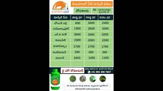 jhk market rate updates | Today Market Prices of Cucumber & Capisicum in telangana |   @JaiHoKisan