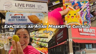 We visit the largest Asian-American grocery store chain in the #usa | H Mart in #chicago