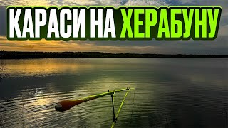 Классический поплавок или херабуна, что эффективнее по карасю?