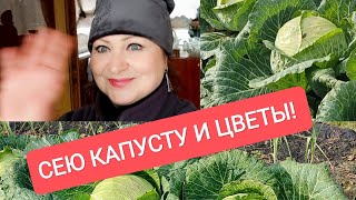 На Даче! Сею Капусту🥦 и Цветы🌼!