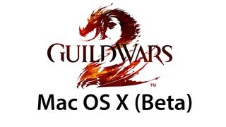 Guild Wars 2 on Mac OS X (Beta)