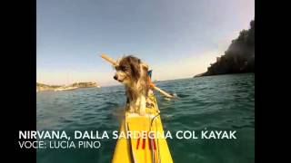 Nirvana, the sailor dog that lives on a kayak