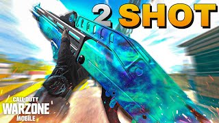 This gun surprised me....😲 Warzone Mobile New update