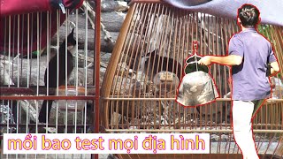 đi xem chú chim mồi - chủ chim bao test mọi địa hình - chừ dưới nước - sẽ như thế nào