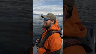 Redbanded Rockfish! #shorts #alaska #alaskafishing #juneaualaska #juneau #rockfish