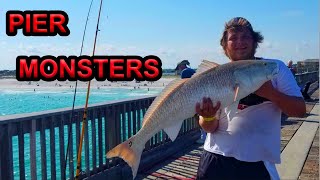 Pier Fishing for HUGE REDFISH - BULL REDFISH