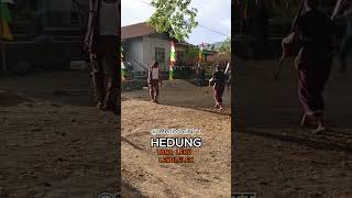 PESONA TARIAN HEDUNG DI DESA : TRADISI HIDUP ||  #1menitdarintt#adonaraflorestimur #hedung