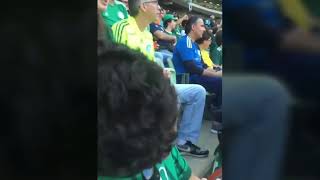 Mãe Palmeirense "narra" o jogo do Palmeiras pro seu filho deficiente visual.