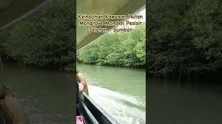 Keindahan Kawasan Hutan Mangrove Mandeh Pesisir Selatan - Sumatera Barat #pesisirselatan