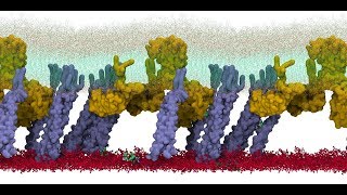 Antibiotic molecules diffusing and interacting with a bacterial cell envelope.