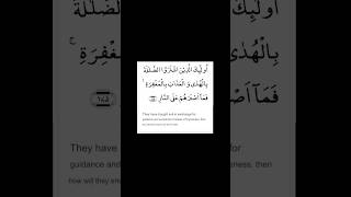 qurantilawat 🕋📘☝️ #shorts #qurantilawat #quranrecitation #short #islamicvideo #like #share #duet