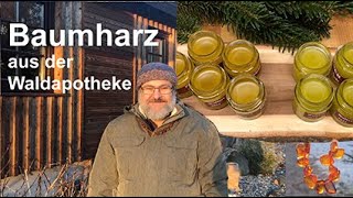 Baumharz aus der Waldapotheke