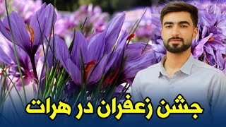 گزارشی از نهمین جشنواره زعفران هرات؛ طلای سرخ افغانستان در اوج شکوفایی