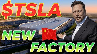 TESLA FACTORY Expansion Plans in Shanghai | Tesla and China relationship