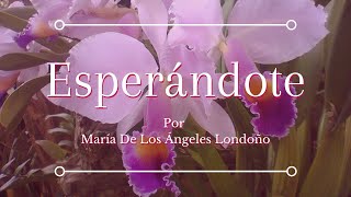 POEMA de AMOR y NOSTALGIA - ESPERÁNDOTE por María de Los Ángeles Londoño