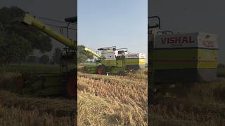 Combine #combine #music #modified #paddy #harvest #newsong #vishalcombine #shortsfeed #shorts #2024