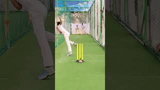 Reverse Shot | Cricket | Batter | #shorts #cricket #youtubeshorts #shortsfeed #cricketshorts