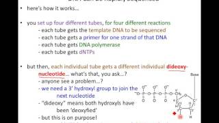 Lecture 9 - Analyzing Genes and Genomes