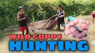 SANTOL LA UNION ADVENTURE & WILD GUPPY hunting SA BUNDOK SOBRANG DAMI😱