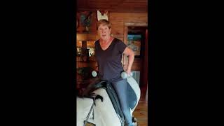 50 Plus Equestrian Upper Body Exercises 1 with the Equicizer