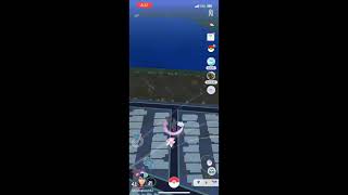 Pokémon go at night