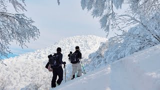 Boundless Snow Japan Van Trip: 📍 AOMORI