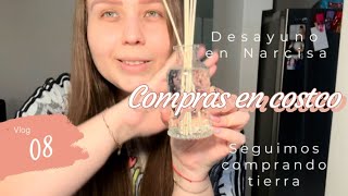 08 Vlog Vamos a desayunar Narcisa,compras en costco, seguimos comprando tierra