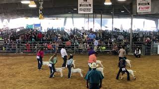 Team GCP- RGVLS Division 1 Market Goat Drive