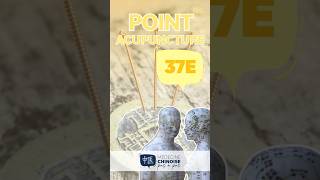 POINT D’ACUPUNCTURE - 37E / Shang Ju Xu #acupuncture #acupuncturepoints #medecinechinoise