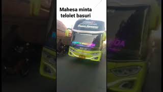 Mahesa minta telolet basuri