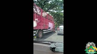 RATUSAN TRUCK TRONTON DIKAWAL POLISI MENUJU KANTOR GUBERNUR JATENG, JUMAT 11//03//22 DEMO TOLAK ODOL