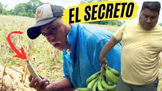 Si quieres tener una FINCA en GUATEMALA mira este video