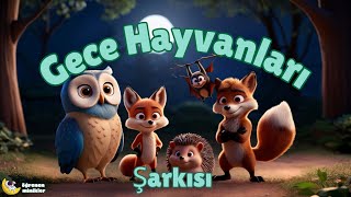 Gece Hayvanları Şarkısı | Baykuş, Yarasa, Kirpi ve Tilki | Eğlenceli Çocuk Şarkısı