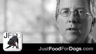 JustFoodForDogs Close Up: Founder Shawn Buckley