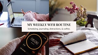 my simple work from home routine