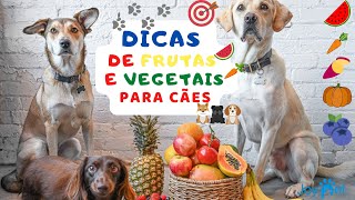 Que VEGETAIS 🥕 e FRUTAS 🍉  podem ser oferecidos no dia a dia para os cães?🐾 🐶 🐕‍🦺 🐕