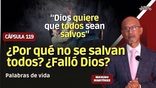 Cápsula 119: ¿Dios falló?