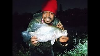 NIGHT FISHING FOR CRAPPIE #fypyoutube #fish #fishing #crappie