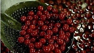 Dry Jamun making for 200 people in #sweet shop#Indian street food #shorts #youtube shorts #Dry jamun