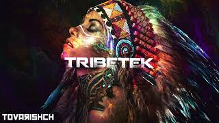 TRIBETEK 2022|Bass Température|Heretix|Air G|Crakoclope|Alyosen|Huggz|KLEMY|Rabteu|NOHA|Luminosity