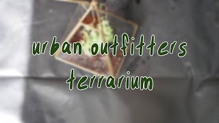 URBAN OUTFITTERS TERRARIUM | reupload, planting ivy