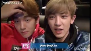 FAKE SUBS - ChanBaek Q&A