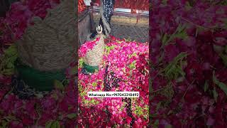 Mira datar dargah Urs stetus|whatsapp qawwali status|2024new qawwali|Famous qawwali|mira data