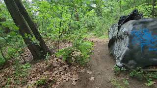 Cleaning up Nutts Pond Rail Trail Manchester NH