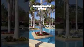 Отель Grand Rotana Resort & Spa - Идеальные условия для семейного и молодежного отдыха 🔥