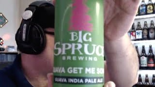 Guava Get Me Some IPA (BR 541)