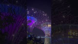 Garden by the bay #singapore