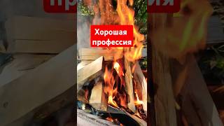 Хорошая профессия.  Дивиденды от этих профессий - огонь🔥