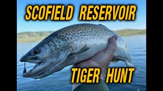 Scofield Reservoir Tiger Hunt