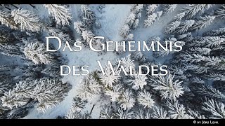 Das Geheimnis des Waldes